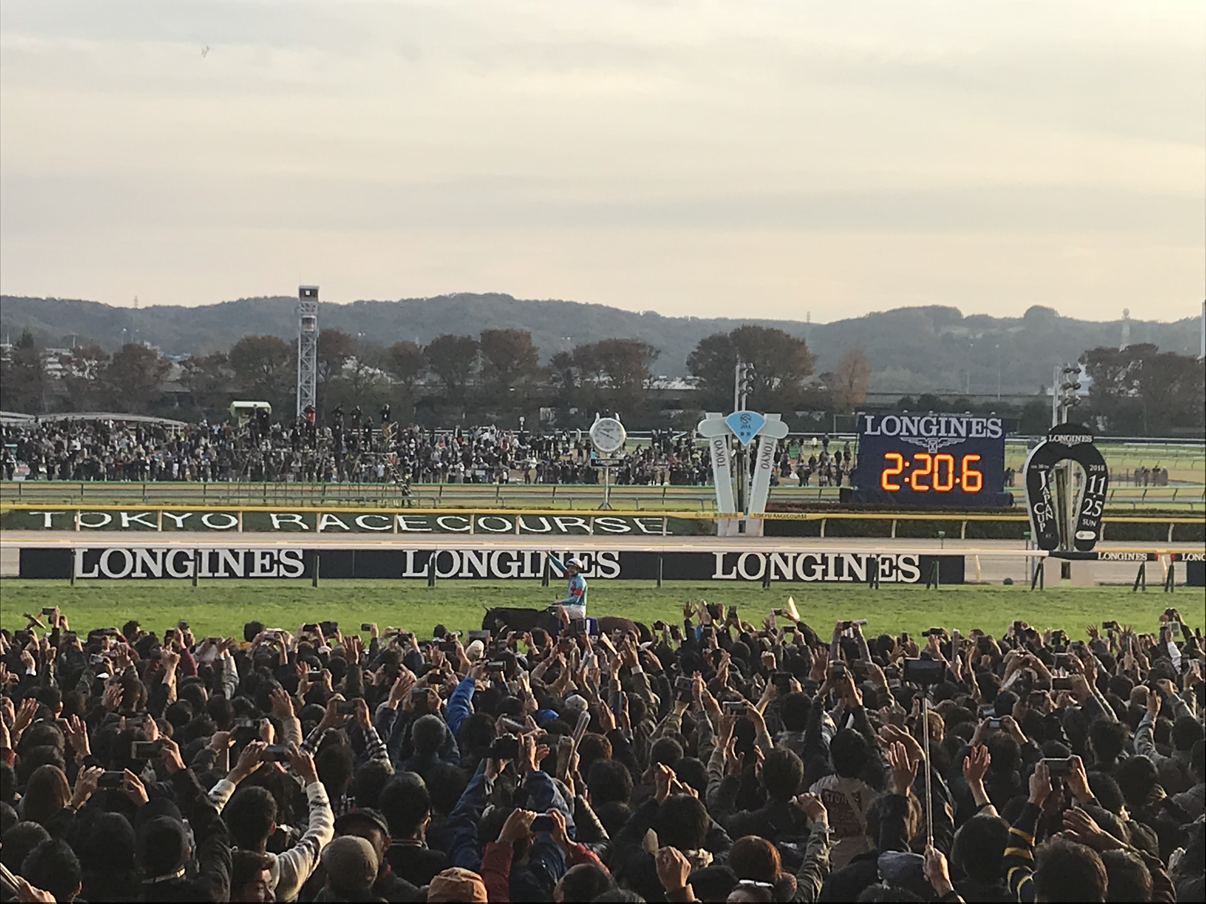 素人 トップページ | 教えて競馬民